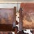 1960s Pair of Sergio Rodrigues for Oca Lounge Chairs For Sale - Image 5 of 11