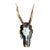 Roe Deer Trophy Ds26 Black Foret Antlers Mount For Sale