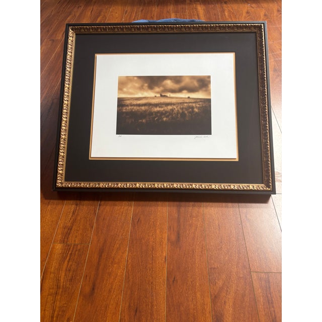 Jamie Cook Giclée APs (Set of 4) For Sale - Image 4 of 6