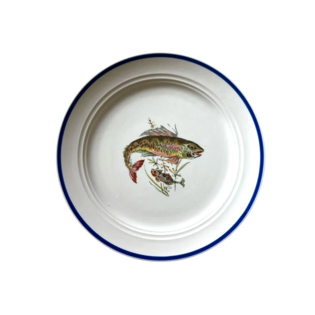 Vintage Italian Ceramic Fish Plates & Platter – Hand-Painted Deruta, 1960s, Set of 11 For Sale - Image 4 of 12
