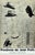 This original color print poster, Presència de Joan Prats, was created by Joan Miró in 1976 for an exhibition at the...
