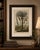 J.C. Volkamer, Botanical Date Palm, 1713, Engraving For Sale - Image 6 of 9