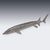Metal 20th Century Elizabeth II Silver Sturgeon-Form Caviar Server from Asprey & Co, 1965, Set of 2 For Sale - Image 7 of 18