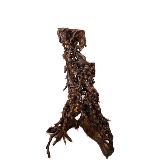 Chinese Vintage Tree Root Sculpture With Birds and Monkeys For Sale - Image 3 of 12