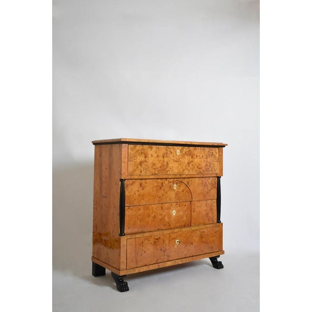 Biedermeier Chest of Drawers, 19th Century For Sale - Image 6 of 6