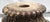 Corinthian Capital Riser For Sale - Image 6 of 16