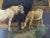 White Late 19th Century Stable Scene Oil Painting on Board, Framed For Sale - Image 8 of 11