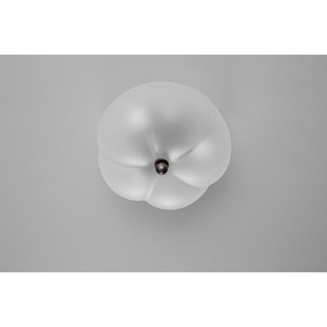 Hana MD Flush Mount in Borosilicate Glass & Brass Finish by Schwung For Sale - Image 18 of 18