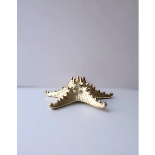A beautiful natural starfish dipped in a light-gold finish. A great decorative object for a shelf, on top of books,...