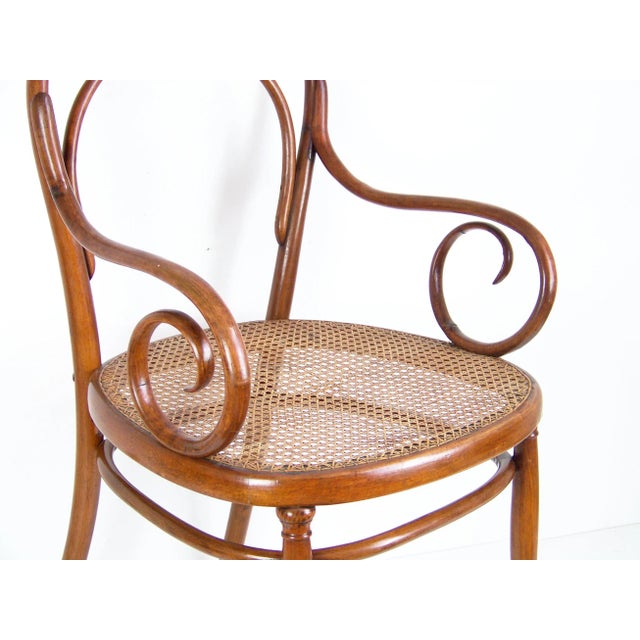 Thonet Nr. 8 Armchair from Thonet For Sale - Image 4 of 8