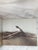 Paper Jerico the South Beheld / Vintage Oversized Coffee Table Book / Signed Copy For Sale - Image 7 of 12