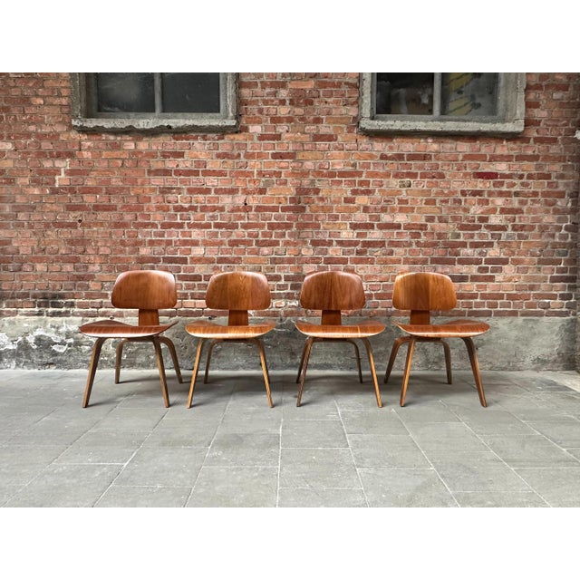 Mid-Century Modern DCW Dining Chairs in Walnut attributed to Charles & Ray Eames for Herman Miller, 1950s, Set of 4 For Sale - Image 3 of 18