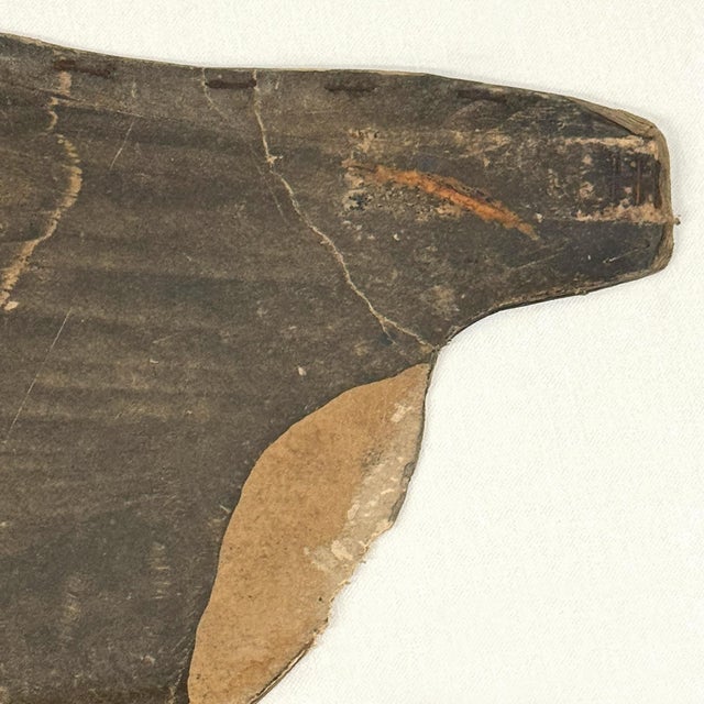 Framed Early 20th Century American Canada Goose Decoy For Sale - Image 9 of 9