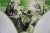 Oil on Canvas. Measures 41 1/2" x 30 1/2". Recently relined and cleaned. The American genius for visual storytelling was...