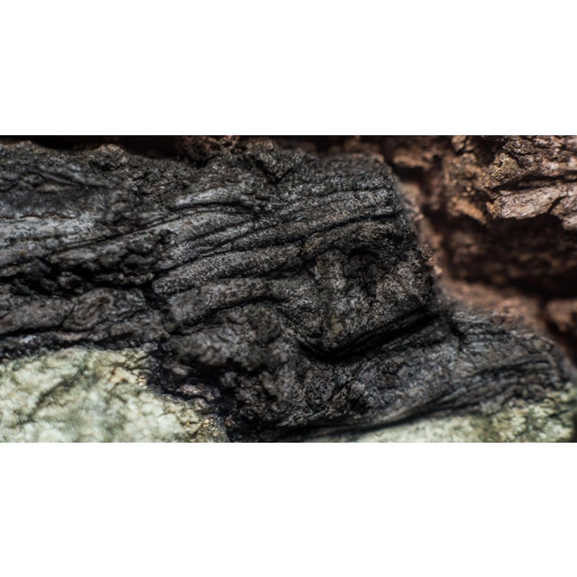 Macro photography - Giclée print on archival Hahnemühle paper 308 gsm Finest Quality - Archival properties with lasting up...