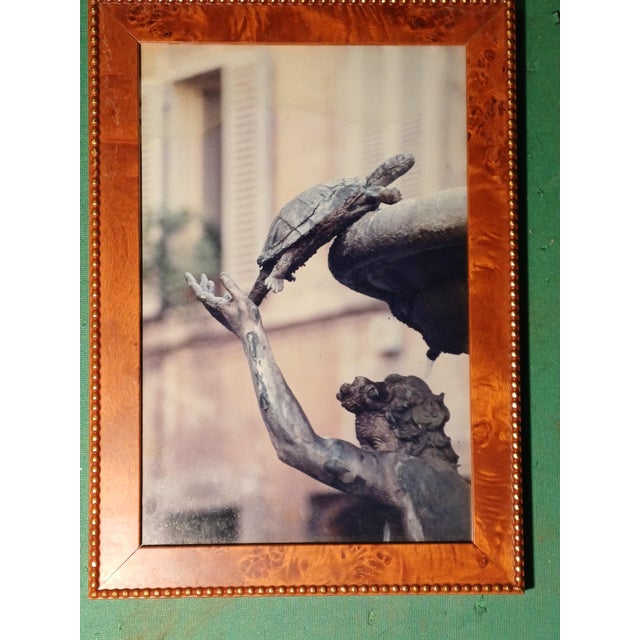 2000 - 2009 Silvia Zanini, Turtle Fountain and the Fountain of the Rivers, Photographic Paper For Sale - Image 5 of 5