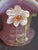 Antique Stevens & Williams Art Glass Basket - Pink Opalescent Cased Glass - Applied Flower & Stem - Uranium Vaseline Glass Handle - Circa 1880s For Sale - Image 10 of 18