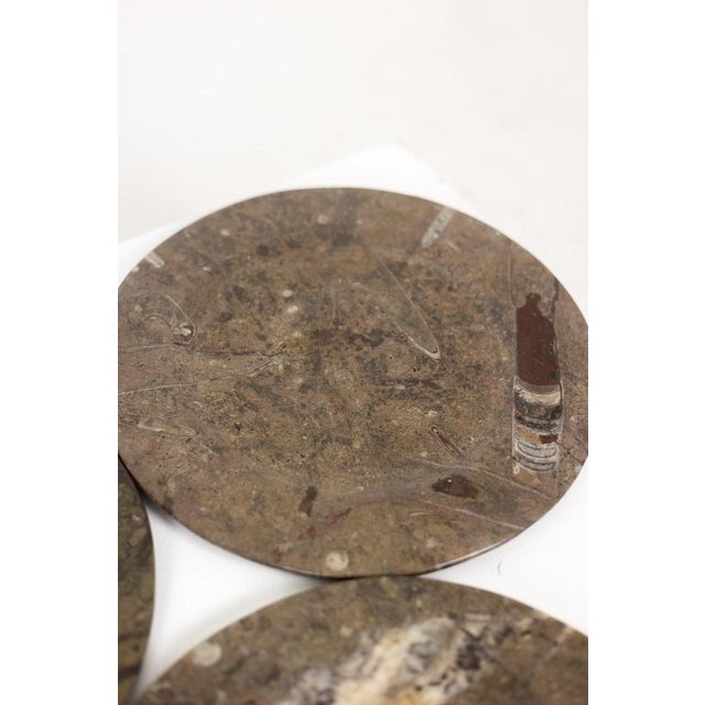 Marble Plates with Fossil Inclusions, Set of 7 For Sale - Image 5 of 8