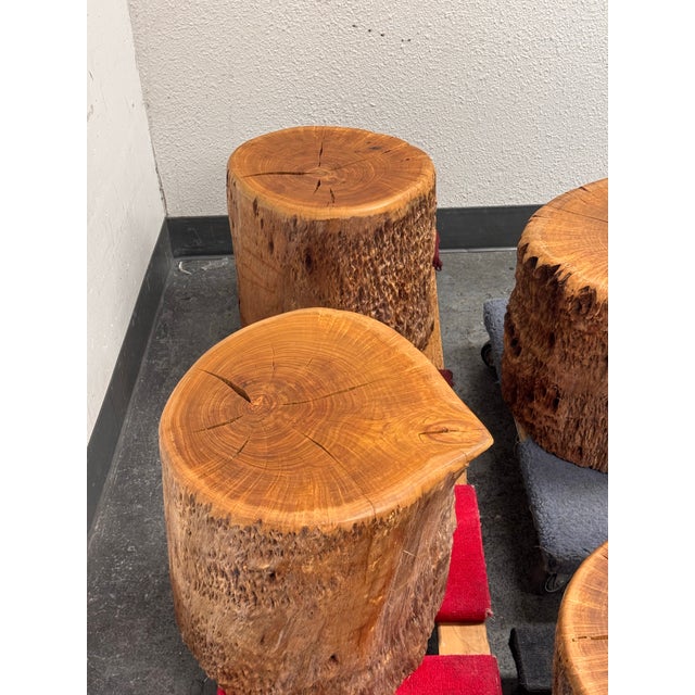 Organic Modern Live Edge Tree Side Table/ Stools, Set of Four For Sale - Image 12 of 12