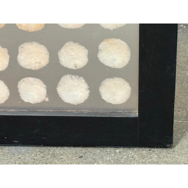 Shawna Stoney Natural Shell Three Panel Folding Screen For Sale - Image 11 of 12