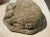 Weathered Cast Stone Pig and Piglets From England, 20th C. For Sale - Image 10 of 13