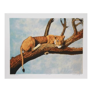 1970s "Lioness Sambaru" Lithograph by Caroline Schultz For Sale