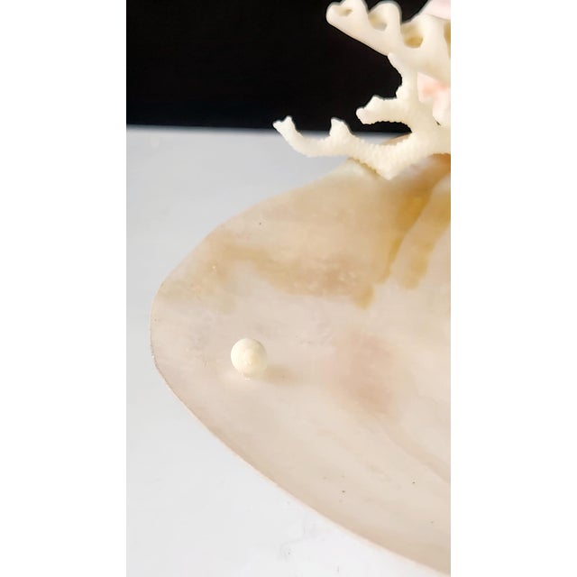 Contemporary Handcrafted Oyster Shell Tray With Vintage Seashell Composition & Biwa Pearls — Coastal Sculptural Object For Sale - Image 3 of 14