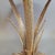 Contemporary Sculptural Aloe Plant Champagne Gold Accent Table For Sale In Raleigh - Image 6 of 8