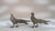 Mid 20th Century France Silver Metal Sculpture For Sale - Image 12 of 15