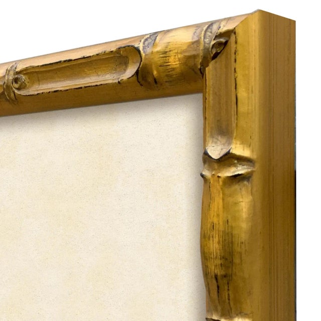 2020s Vintage Seashells Fine Art Reproduction Print (4), Framed For Sale - Image 5 of 6