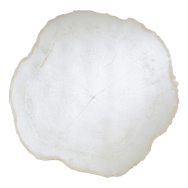 Frosted White Wood Edge Mirror from Deknudt Mirrors For Sale