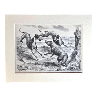 1939 Print in 11x14 Mat, Ready to Frame: John Steuart Curry, "Hounds and Coyote" For Sale