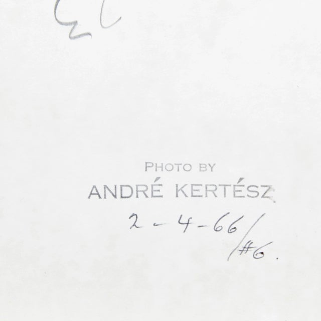 Photograph by Andre Kertesz, 1966 For Sale - Image 6 of 7