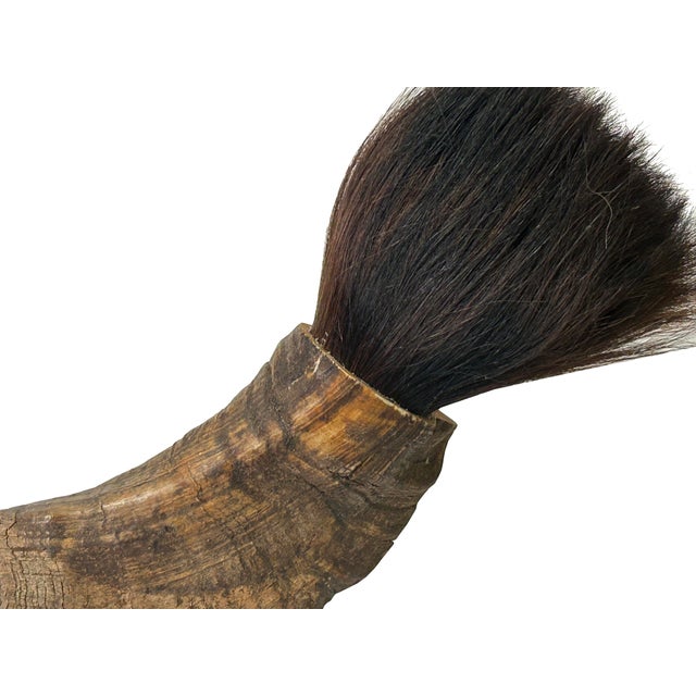 19" Rustic Natural Artistic Horn Shape Brush Accent Display For Sale - Image 9 of 9