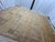 Rh Ilyas Hand-Knotted Wool Rug — 10' × 14' Camel | 100% Wool | Sculpted Texture For Sale - Image 9 of 18