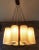 Danish Teak & Resin Chandelier, 1960s For Sale - Image 4 of 18