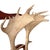 Vintage Fallow Deer Antler Hall Tree For Sale - Image 11 of 15