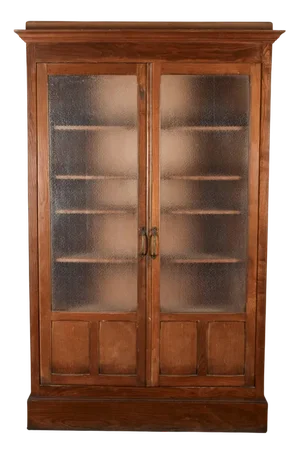 Two-Door Display Cabinet Bookcase, Early 20th Century