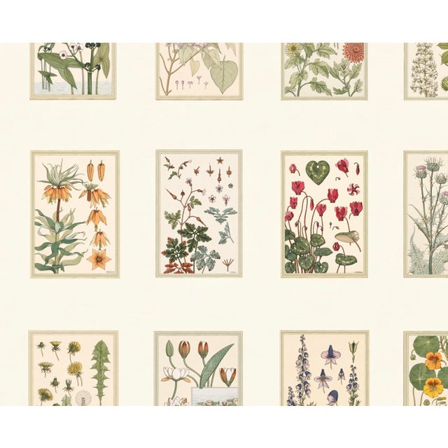 Atelier Aria Lumae Eugene Grasset Maurice Pillard Verneuil Art Nouveau Botanical Specimen Grid Board Print 60 X 40 For Sale - Image 4 of 17