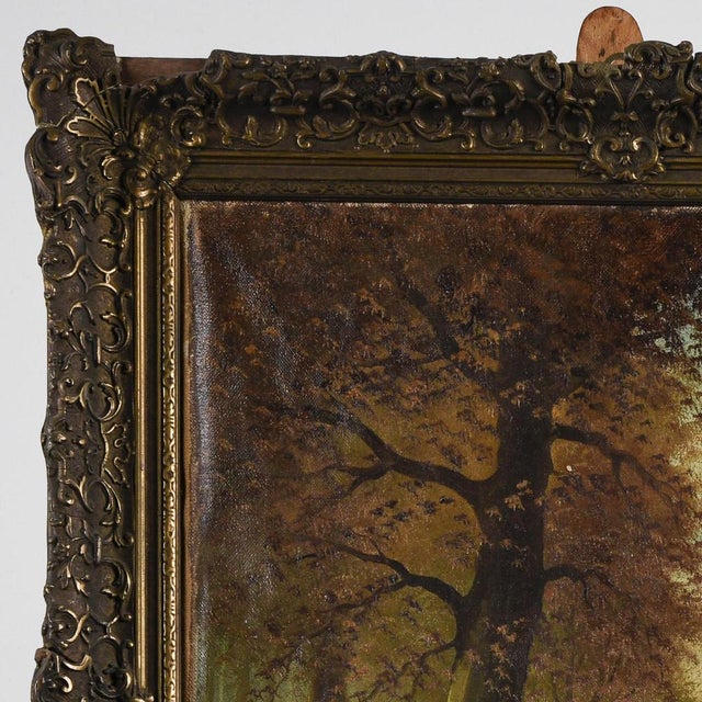 Undergrowth Scene, Oil on Canvas, Late 1800s-Early 1900s, Framed For Sale - Image 5 of 8