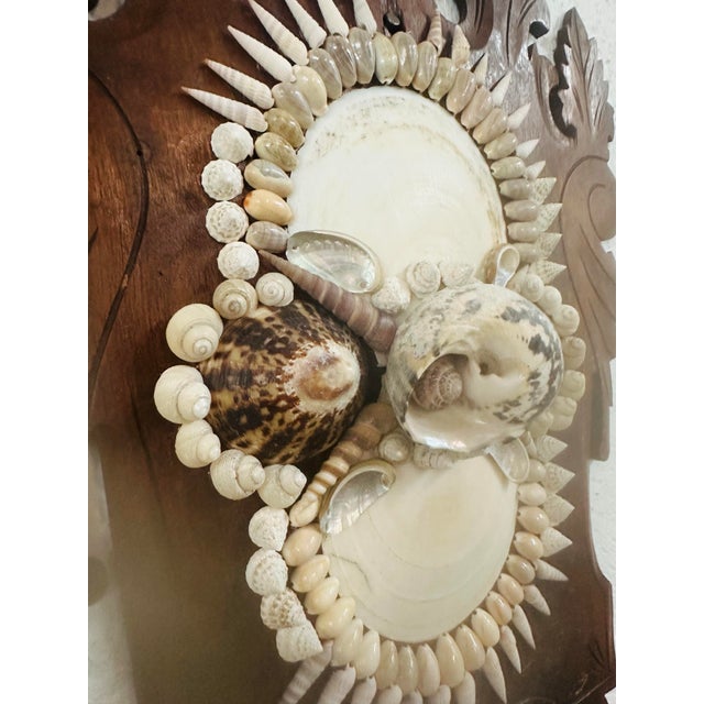 Arts & Crafts Vintage Shell Art For Sale - Image 3 of 7