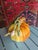 Vintage Ceramic Pumpkin Tureen With Ladle For Sale In Boston - Image 6 of 6