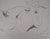 Alain Bonnefoit, Nude Woman, Original Drawing For Sale - Image 8 of 8