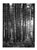 Paul Cooklin, Woodland, Edition of 50 For Sale