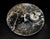 Pair Large Ammonite Plates 6.25" Millions Years Fossil For Sale - Image 12 of 12