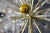 Sputnik Chandelier by Emil Stejnar, 1950s For Sale - Image 11 of 16