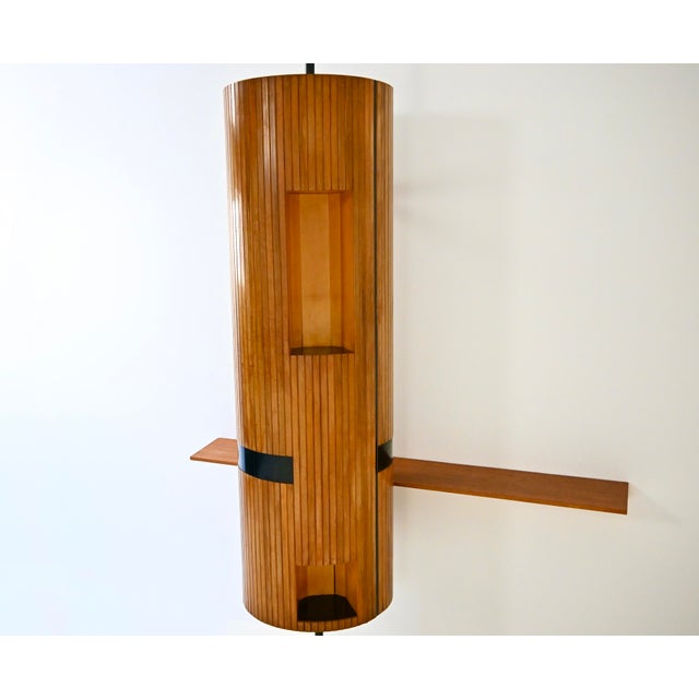 Italian Wall Unit by Vittoriano Viganò, 1960s For Sale - Image 6 of 12
