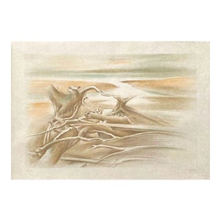 1980 Bernadette Kelly Driftwood Lithograph For Sale