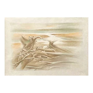 1980 Bernadette Kelly Driftwood Lithograph