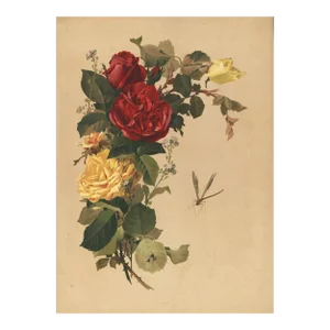 1880s French Antique Botanical Chromolithograph-Roses